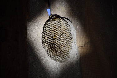 Similar image 19608589