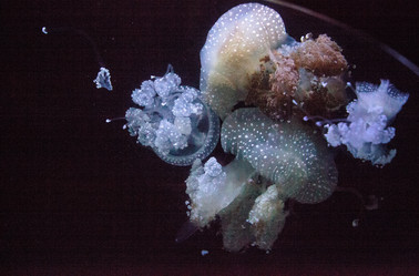 Similar image 19574903