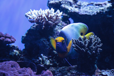 Similar image 19574904