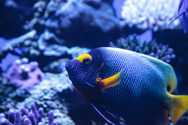 Similar image 19574925