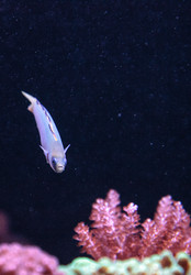 Similar image 19575000