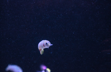 Similar image 19582112