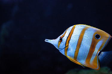 Similar image 19583357