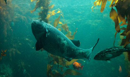 Similar image 19583399