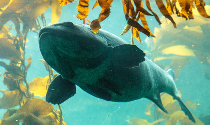 Similar image 19583404