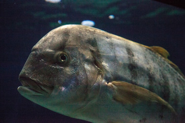 Similar image 19583450