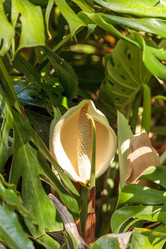 Similar image 19574962