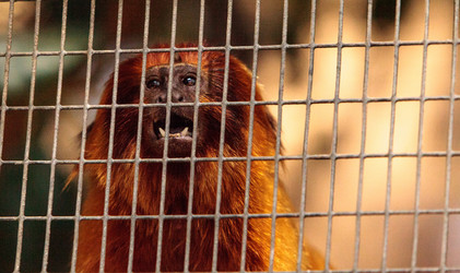 Similar image 19574963