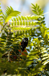 Similar image 19574942