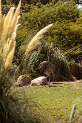 Similar image 19574943