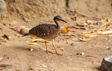 Similar image 19574987