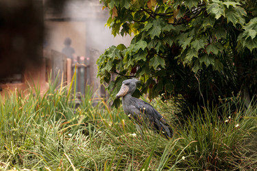 Similar image 19575003