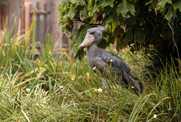 Similar image 19582113