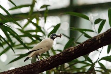 Similar image 19583327