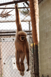 Similar image 19583393