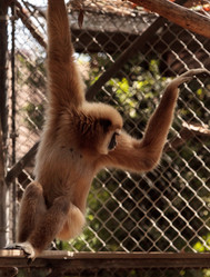 Similar image 19583402