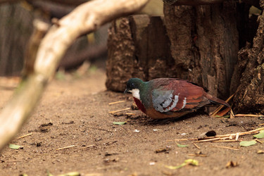 Similar image 19583381