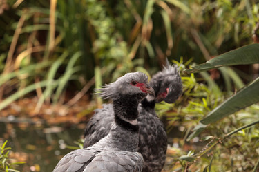 Similar image 19583388