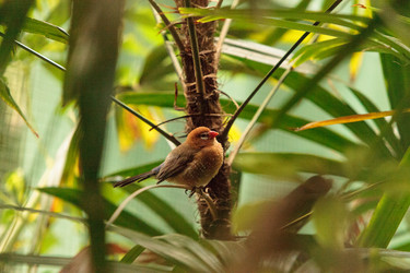 Similar image 19583361