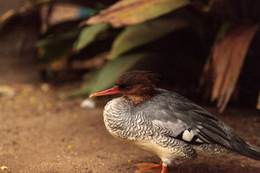 Similar image 19583364