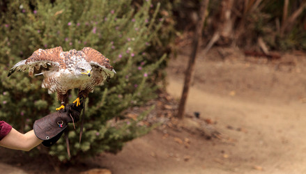 Similar image 19583469