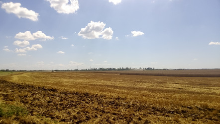 Similar image 19608595