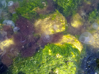 Similar image 19195605