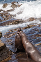 Similar image 19574966