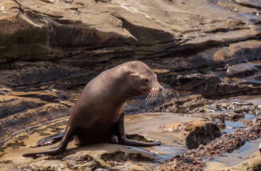 Similar image 19574997