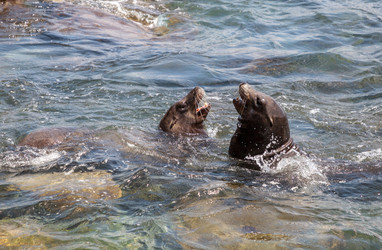 Similar image 19581426