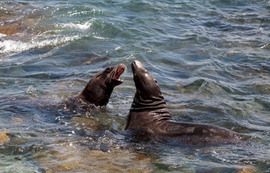 Similar image 19581427