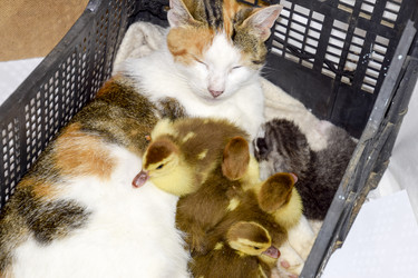 Similar image 19609310