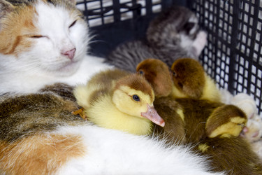 Similar image 19610061