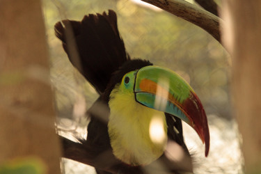 Similar image 19574905