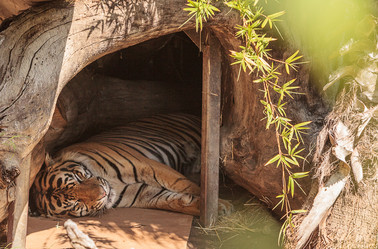 Similar image 19574929