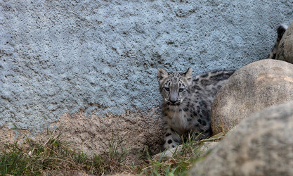 Similar image 19575009