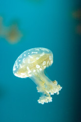 Similar image 19574947