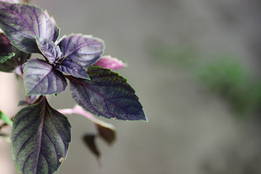 Similar image 19585734