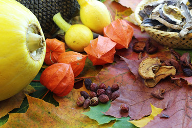 Similar image 19585775