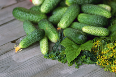 Similar image 19585954