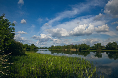 Similar image 19742920