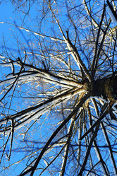 Similar image 19585681