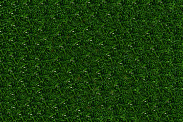 Similar image 19201193