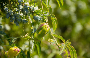 Similar image 19201155