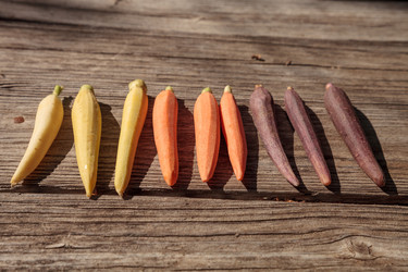 Similar image 19575027