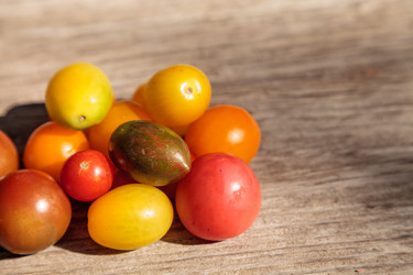 Similar image 19583332