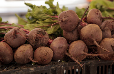 Similar image 19583424