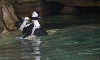 Similar image 19574896