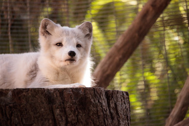 Similar image 19574909