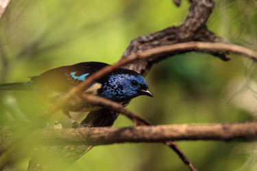 Similar image 19574969